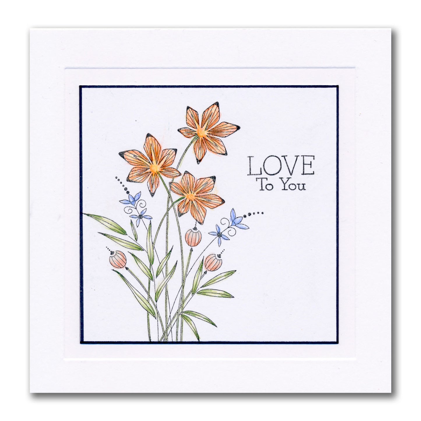 Barbara's Star Flower Spray A6 Stamp Set