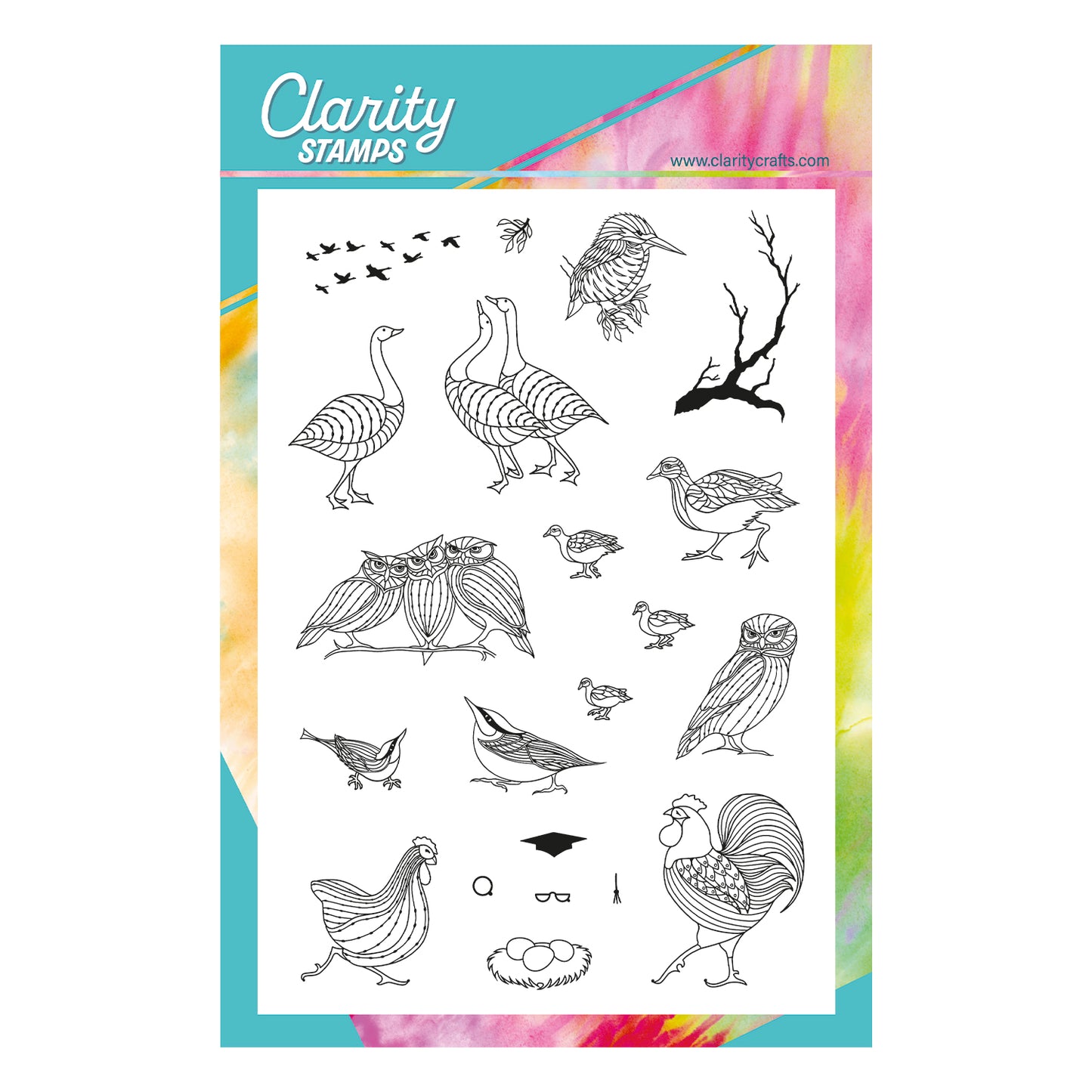 Feathered Friends Miniatures A5 Stamp & Mask Set