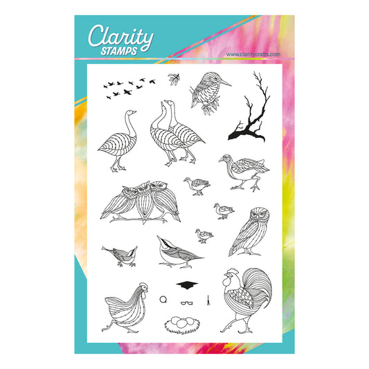 Feathered Friends Miniatures A5 Stamp & Mask Set