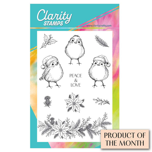 Barbara's Christmas Animals - Robins A6 Stamp & Mask Set