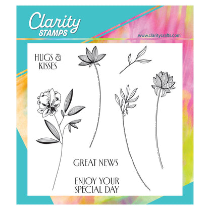 Barbara's Big Blooms - Stripey Flowers A5 Square Stamp & Mask Set