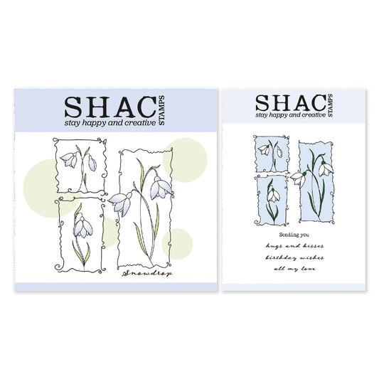 Barbara's SHAC Snowdrop Floral Panels A5 Square & A6 Stamp & Mask Duo