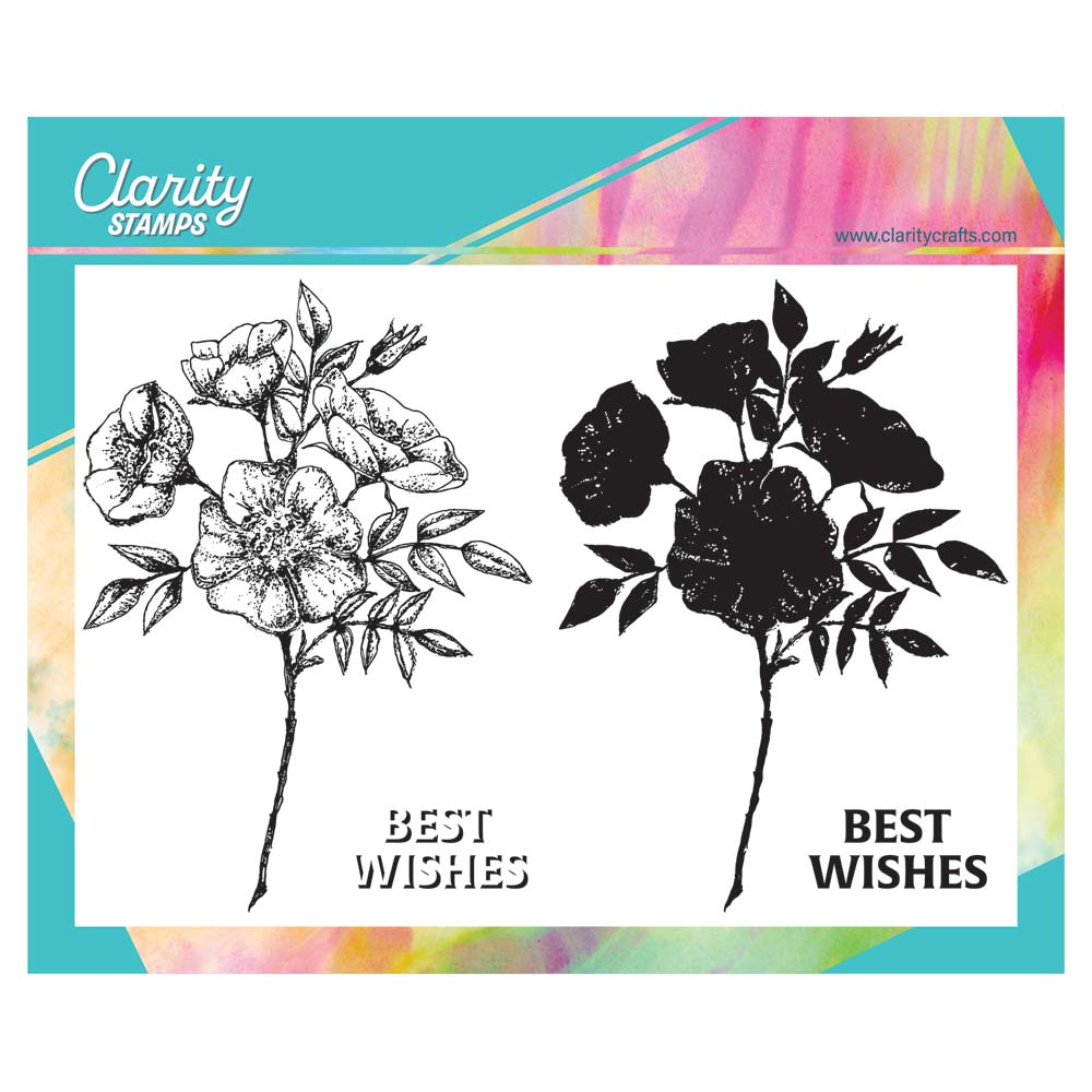Dog Rose Posy A5 Stamp Set
