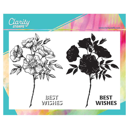 Dog Rose Posy A5 clear floral stamp set with 4 flower stamps