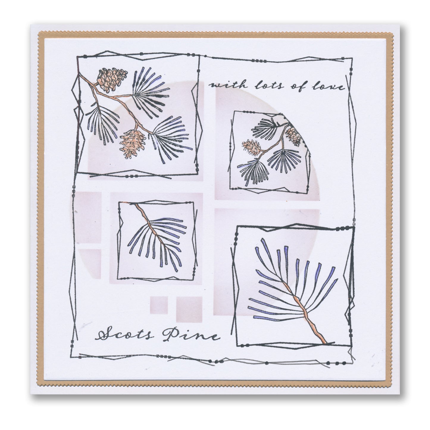 Barbara's SHAC Scots Pine Floral Panels A6 Square Stamp Set