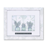 Potted Plants - Set 2 - Cactus A5 Stamp Set