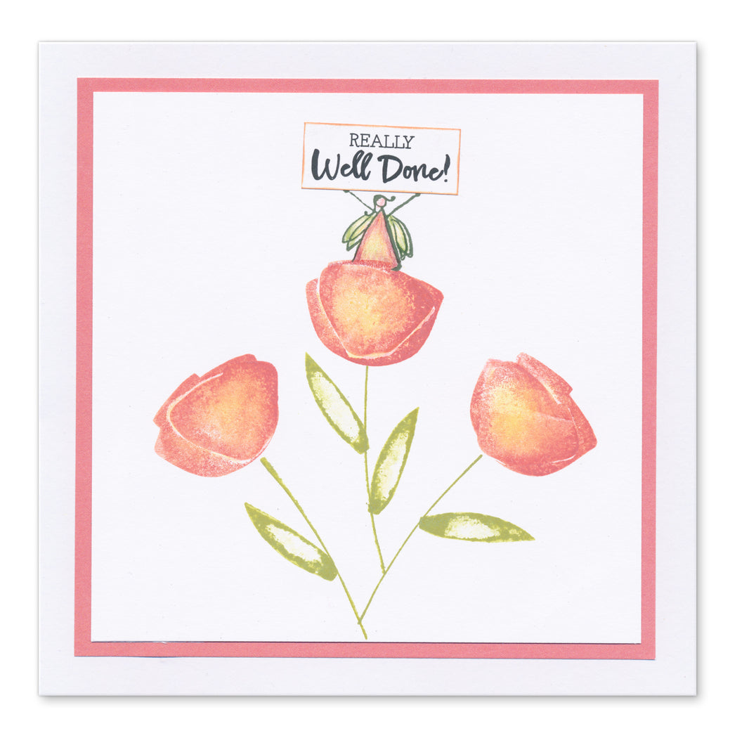 Clarity TV - Friday 17th April 2026 - 10am & 2pm – Clarity Crafts