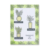 Potted Plants Complete A5 & A6 Stamp Collection