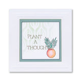 Potted Plants - Set 2 - Cactus A5 Stamp Set