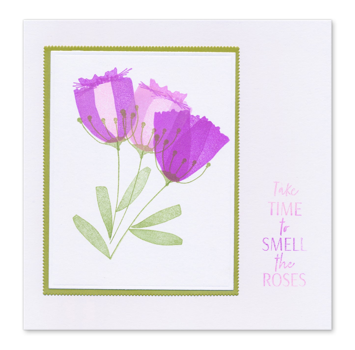 Barbara's Build a Bloom - Botanicals Set 3 A6 Stamp Set