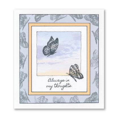 Barbara's Dotted Butterflies A5 Stamp Set