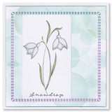 Barbara's SHAC Snowdrop Floral Panels A5 Square Stamp & Mask Set