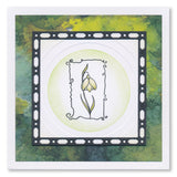 Barbara's SHAC Snowdrop Floral Panels A6 Stamp Set