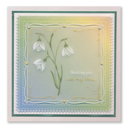 Barbara's SHAC Snowdrop Floral Panels A5 Square Groovi Plate