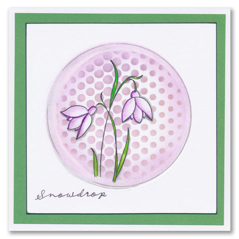 Barbara's SHAC Snowdrop Floral Panels A5 Square Stamp & Mask Set