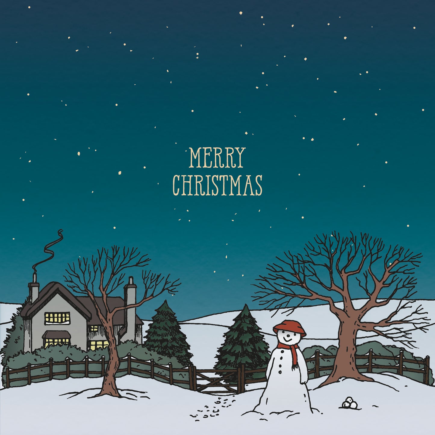 £20 Christmas Gift Card