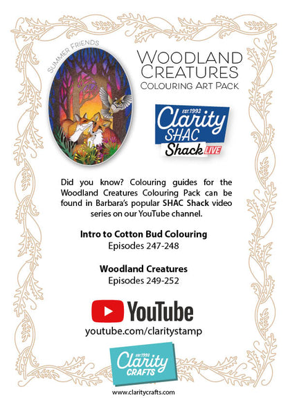 Woodland Creatures A4 Colouring Art Pack
