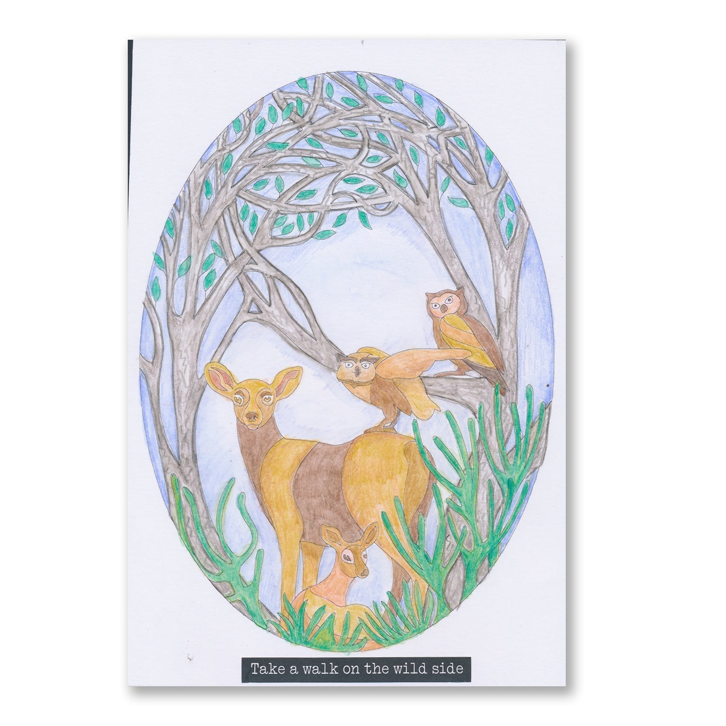 Woodland Creatures A4 Colouring Art Pack