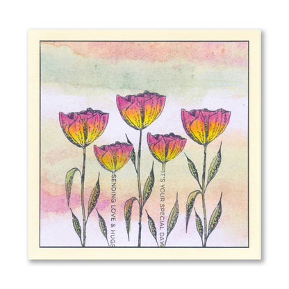 Barb's SHAC Dancing Girls, Dotted Blooms & Sentiments Stamp Collection
