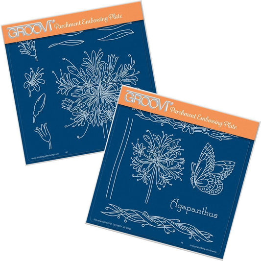 Jayne's Agapanthus A5 Square Groovi Plate Set