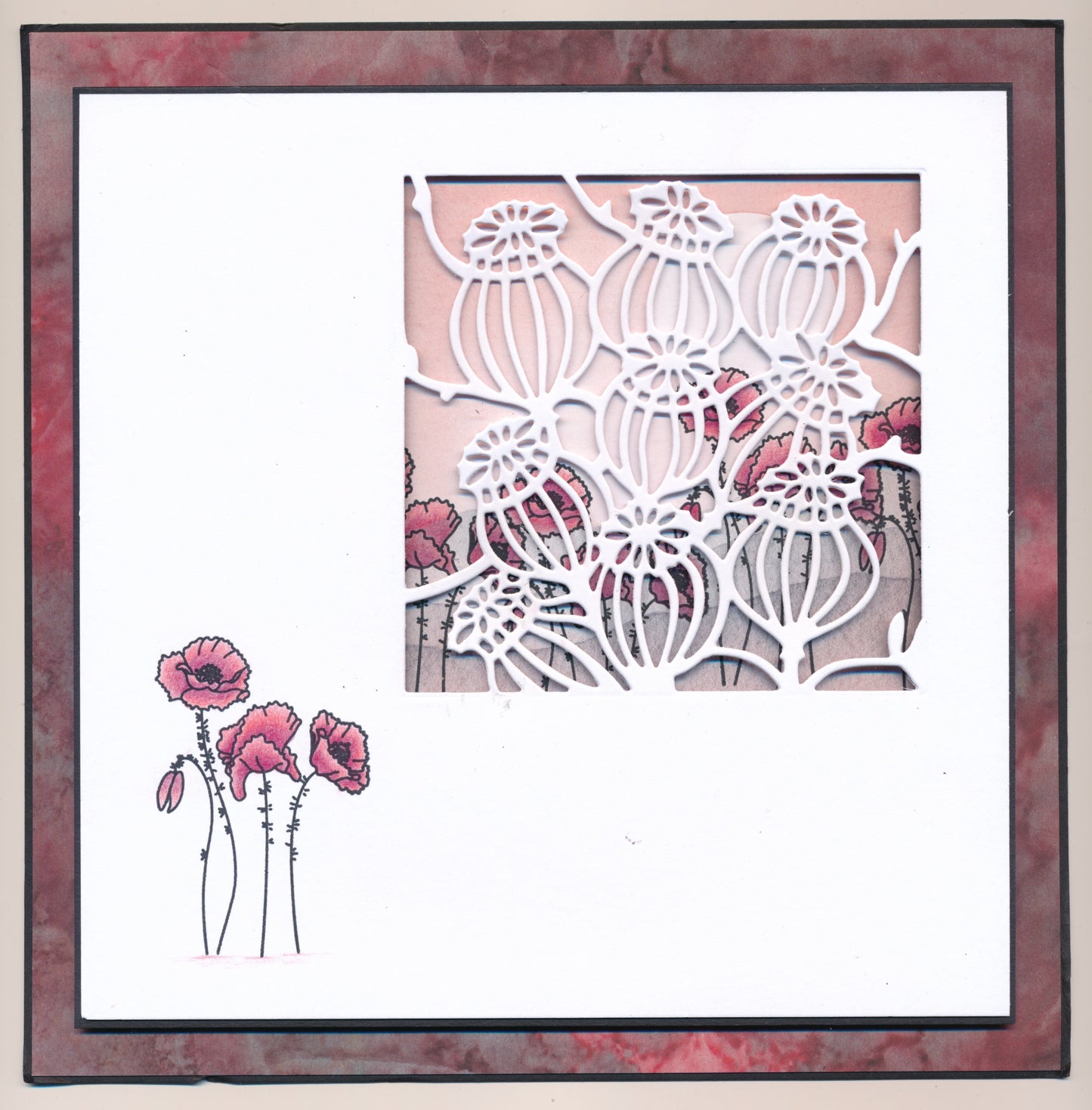 Poppy Seed Heads Aperture Clarity Fresh Cut Die