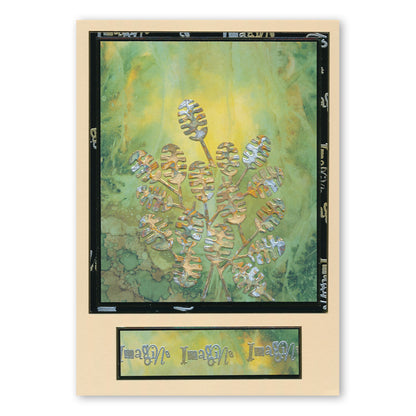 Seeds & Pods Aperture Quartet Clarity Fresh Cut Dies