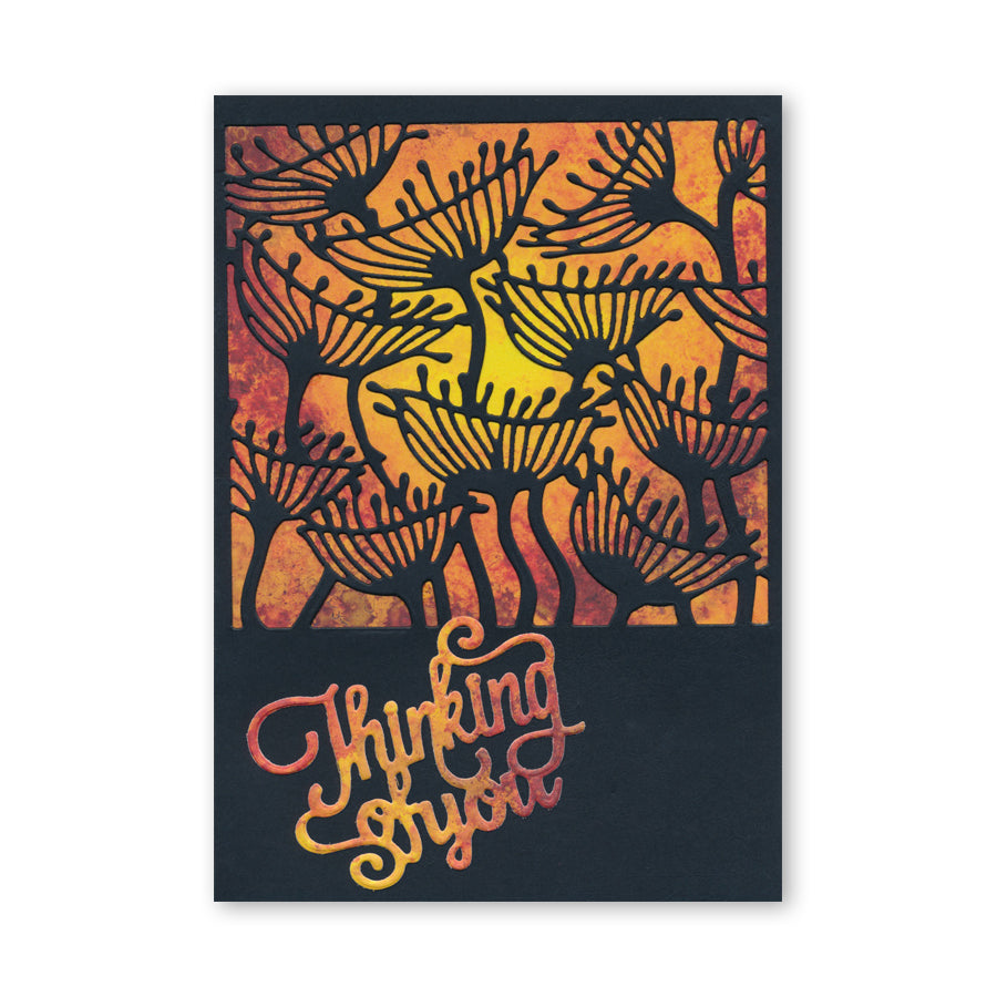 Seeds & Pods Aperture Quartet Clarity Fresh Cut Dies