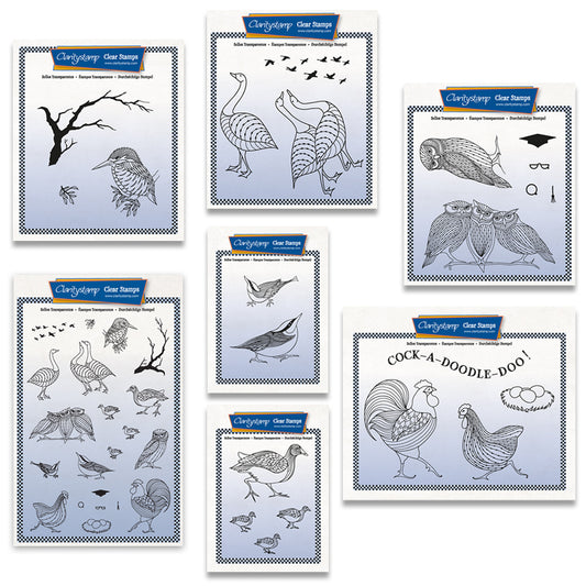 Feathered Friends A5, A5 Square & A6 Stamp & Mask Collection