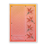 Floral Squares - Fuchsia Groovi Border Plate
