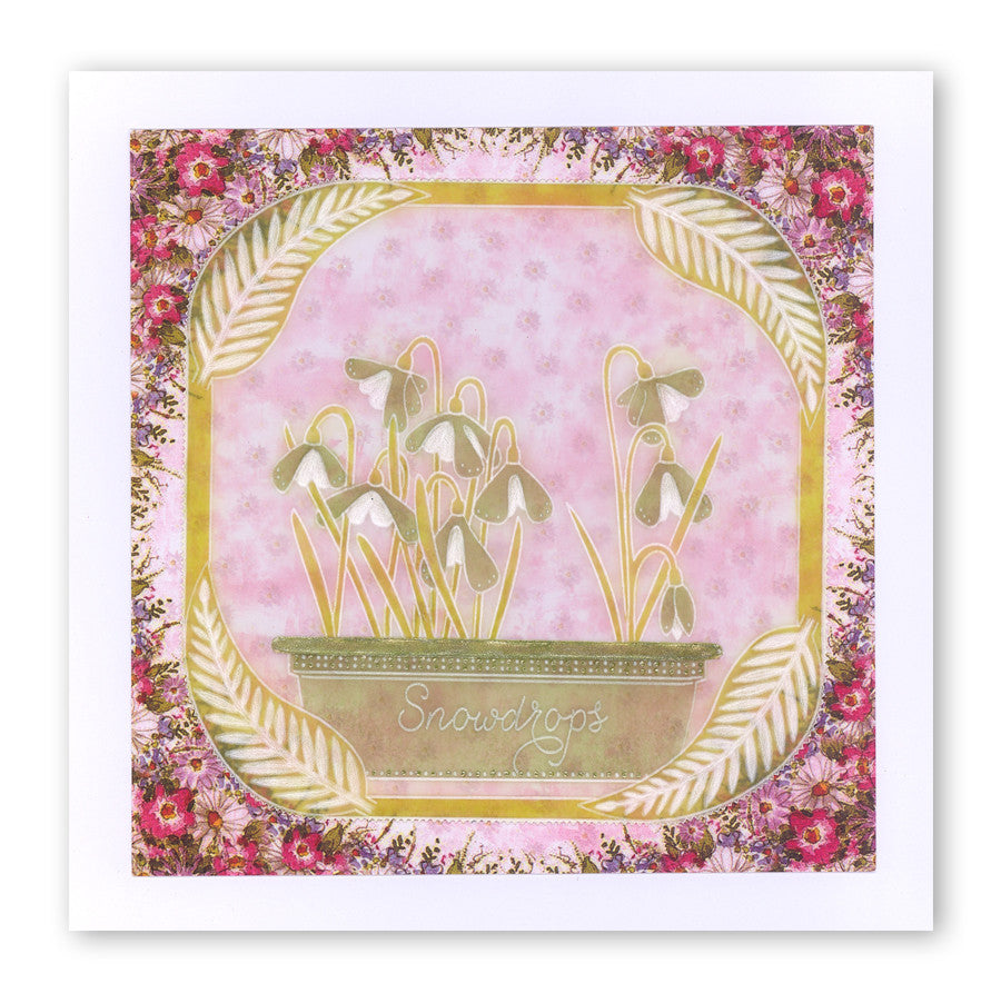 Flowers & Vases A6 Square Groovi Baby Plate Set