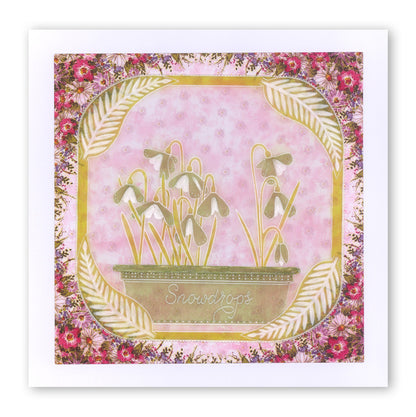 Flowers & Vases A6 Square Groovi Baby Plate Set