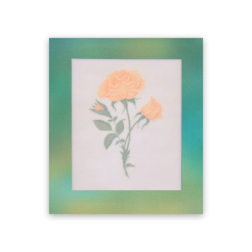 Frosted Floral Overlay Pack - Rose