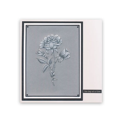 Frosted Floral Overlay Pack - Rose