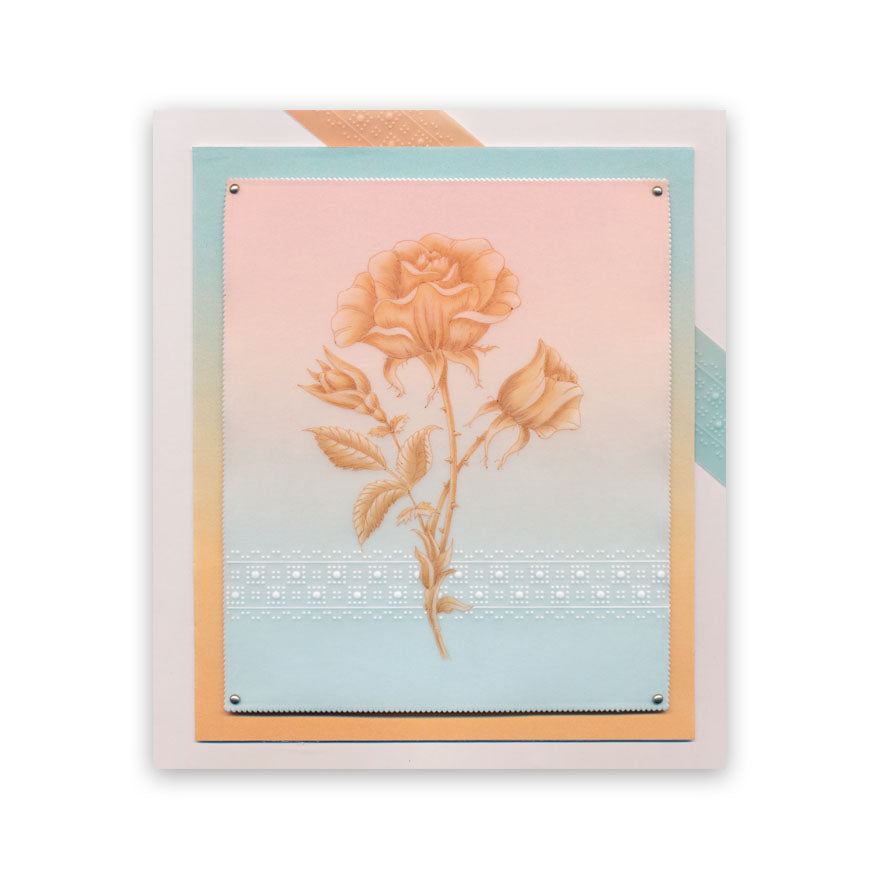 Frosted Floral Overlay Pack - Rose