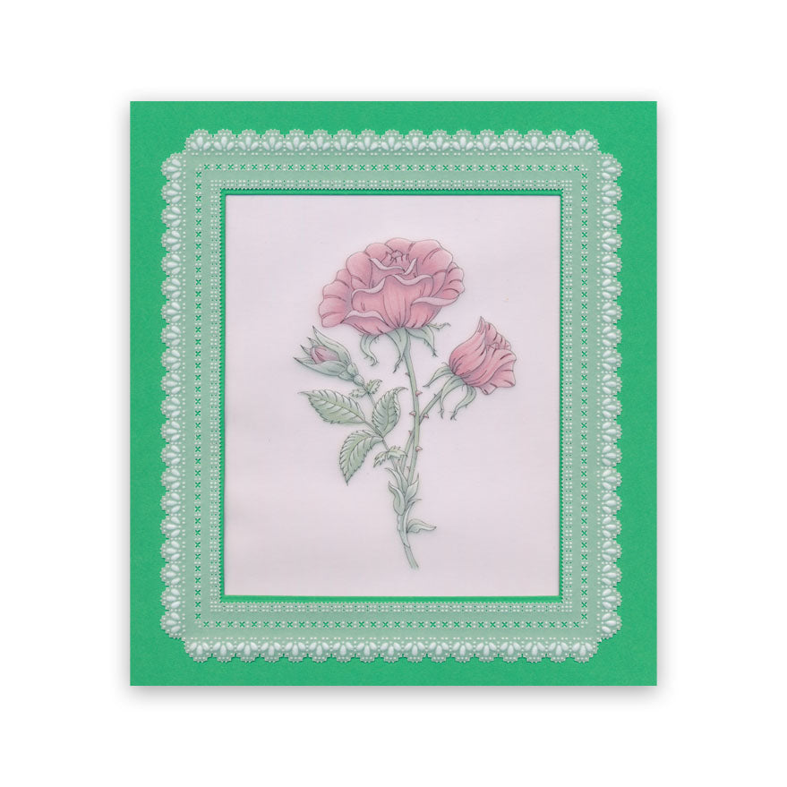 Frosted Floral Overlay Pack - Rose
