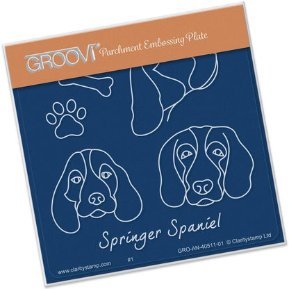 CLEARANCE Springer Spaniels A6 Square Groovi Baby Plate