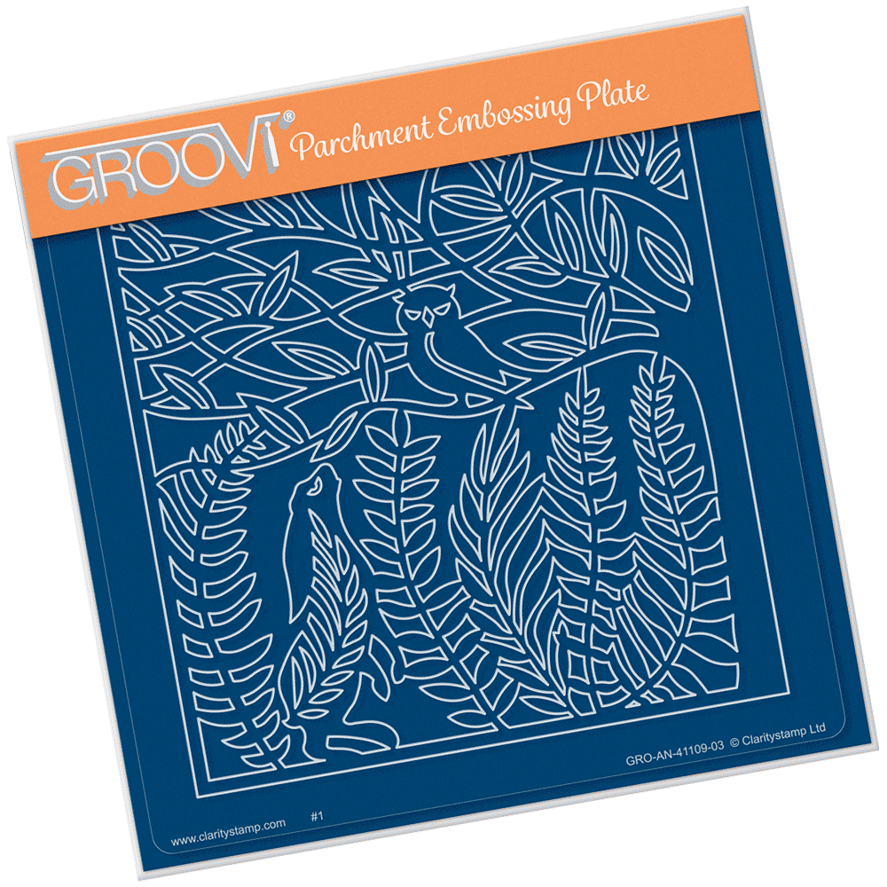 Hare & the Owl A5 Square Groovi Plate