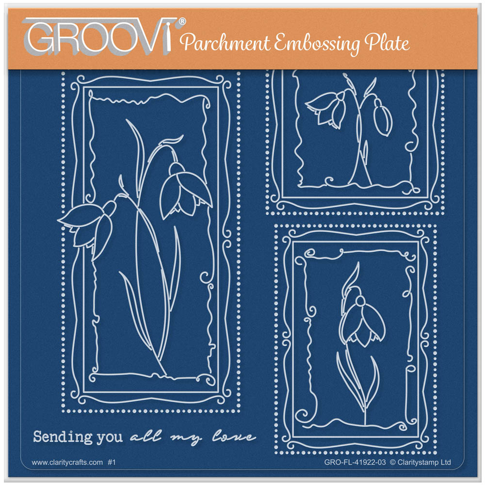 Barbara's SHAC Snowdrop Floral Panels A5 Square Groovi Plate