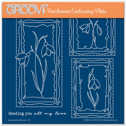 Barbara's SHAC Snowdrop Floral Panels A5 Square Groovi Plate