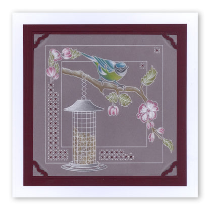 Garden Birds A6 Square Groovi Baby Plate Set