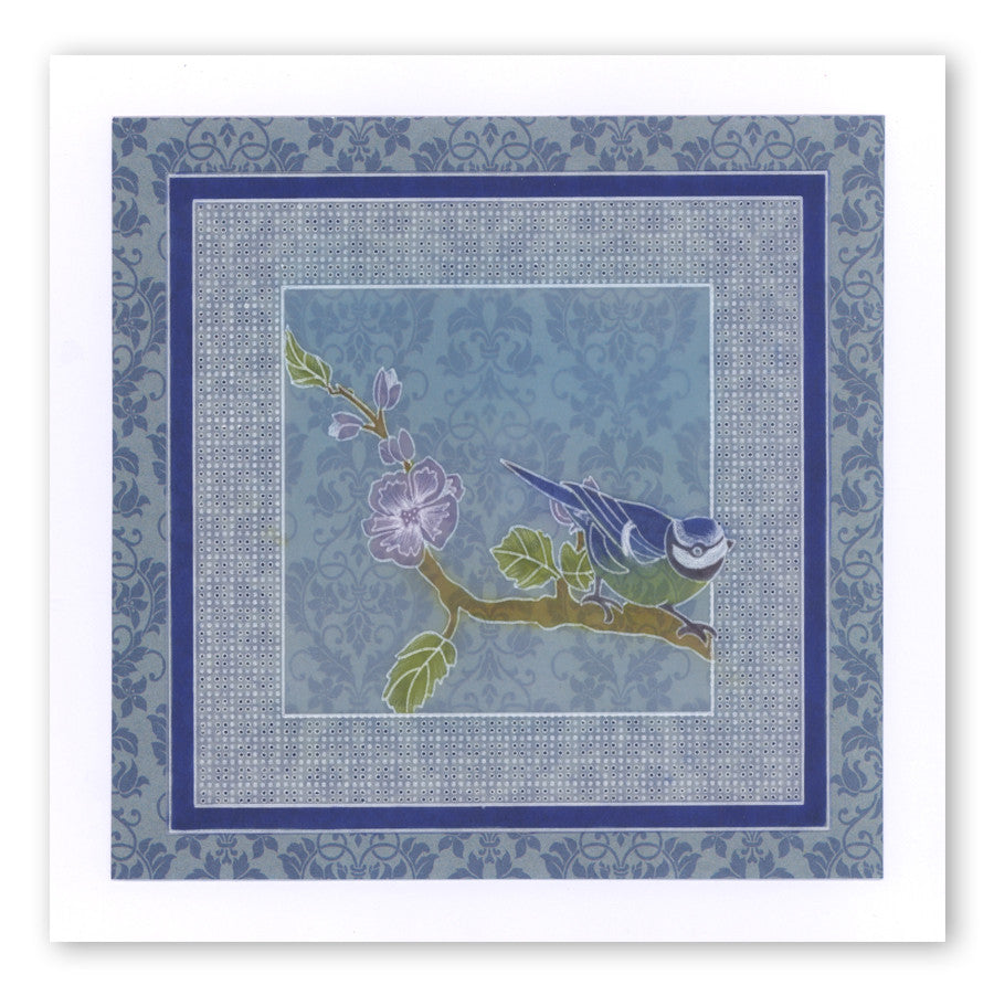 Garden Birds A6 Square Groovi Baby Plate Set