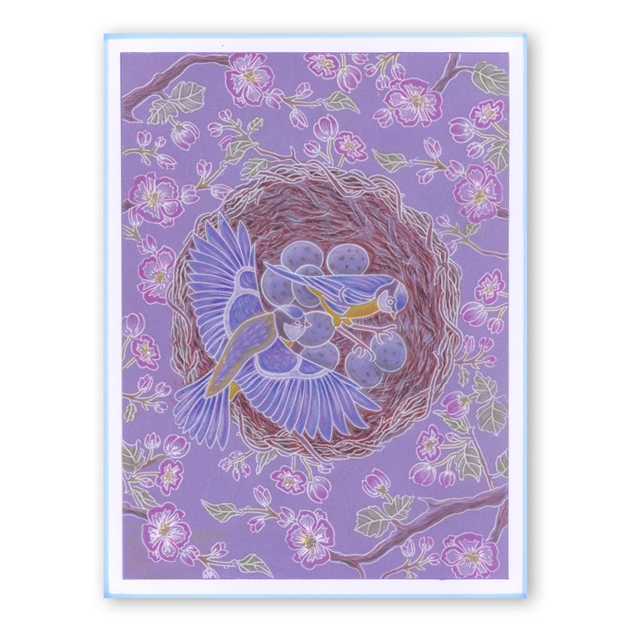 Garden Birds A6 Square Groovi Baby Plate Set