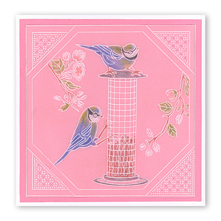 Garden Birds A6 Square Groovi Baby Plate Set