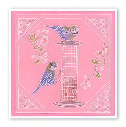 Garden Birds A6 Square Groovi Baby Plate Set