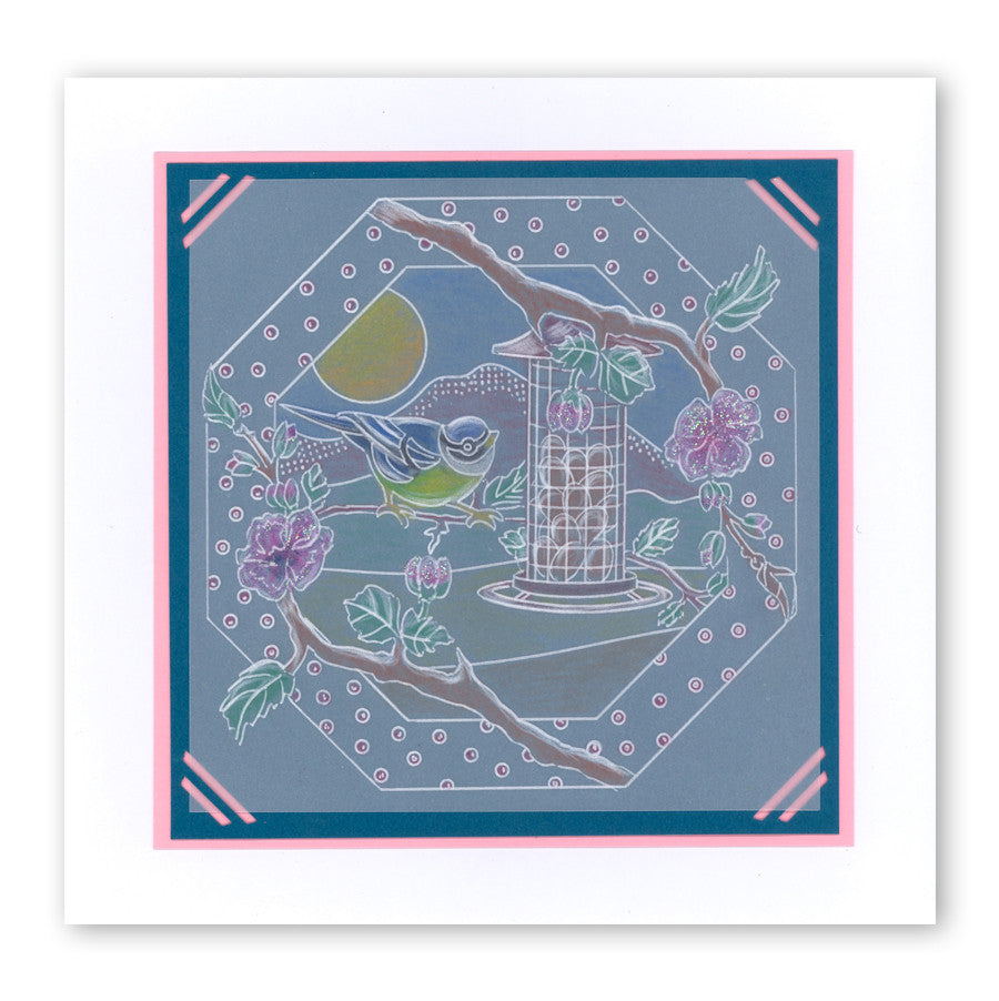 Garden Birds A6 Square Groovi Baby Plate Set