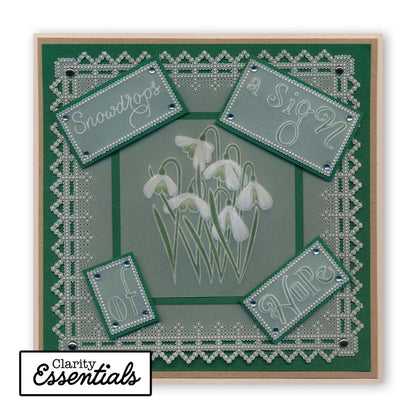 Word Chain Alphabet Groovi Border Plate Mate