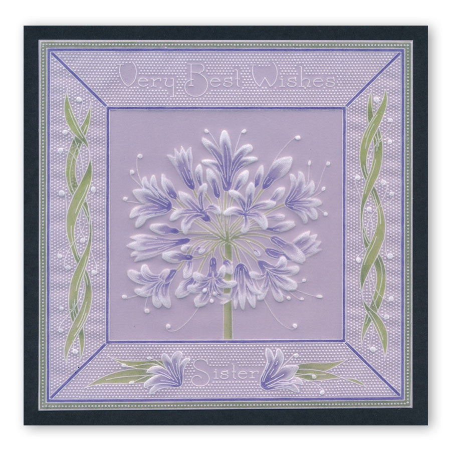 Jayne's Agapanthus A5 Square Groovi Plate