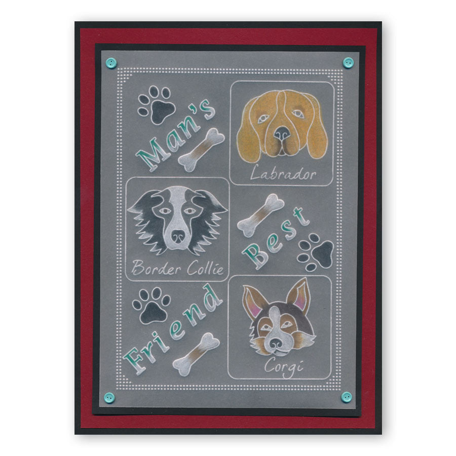 Labradors A6 Square Groovi Baby Plate