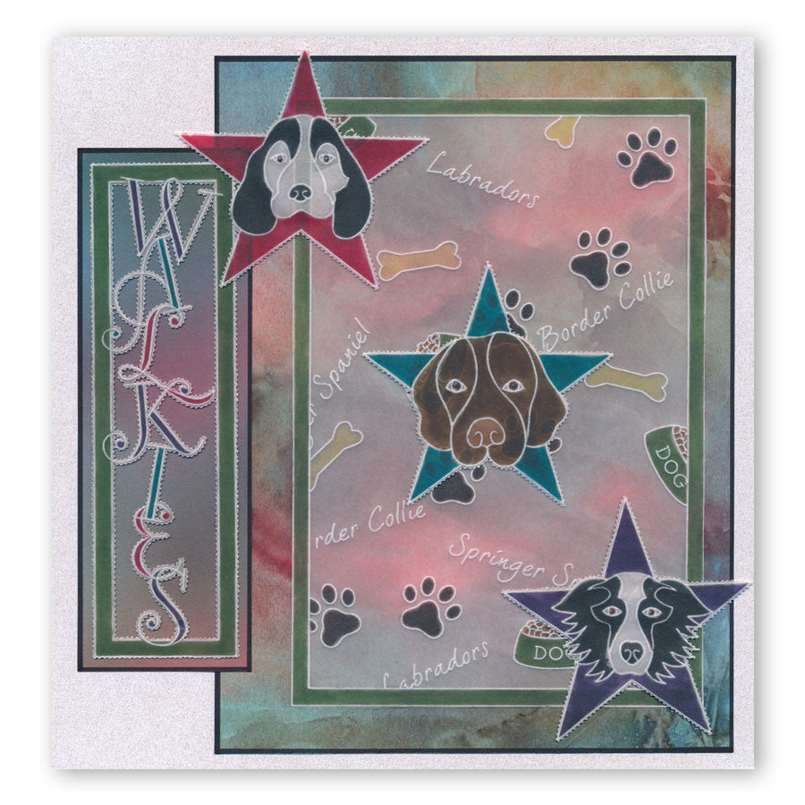 Labradors A6 Square Groovi Baby Plate