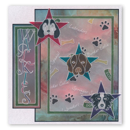 Labradors A6 Square Groovi Baby Plate